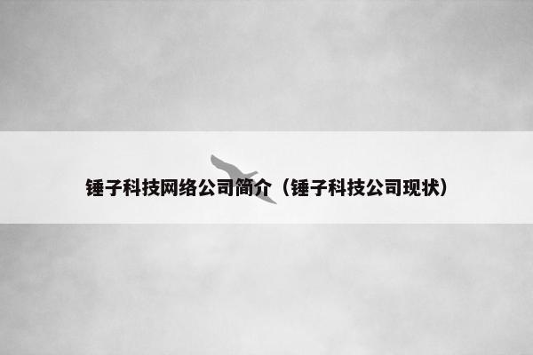 锤子科技网络公司简介（锤子科技公司现状）