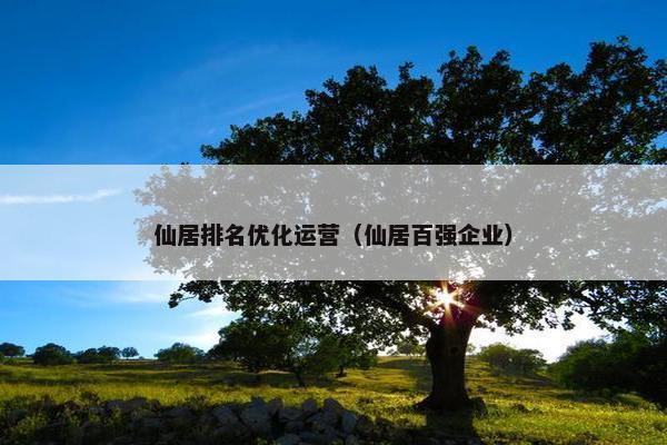 仙居排名优化运营（仙居百强企业）
