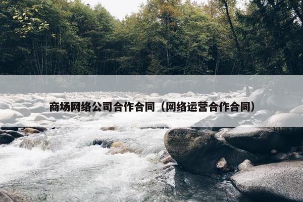 商场网络公司合作合同（网络运营合作合同）