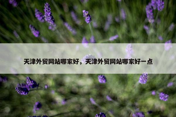 天津外贸网站哪家好，天津外贸网站哪家好一点