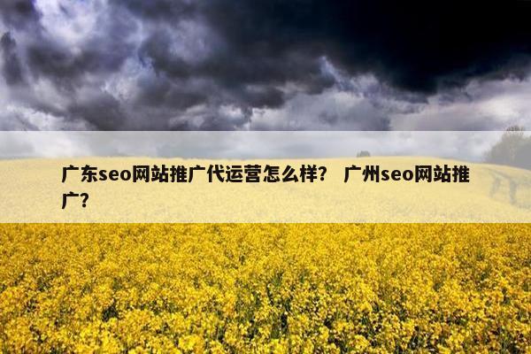 广东seo网站推广代运营怎么样？ 广州seo网站推广？