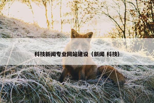 科技新闻专业网站建设（新闻 科技）