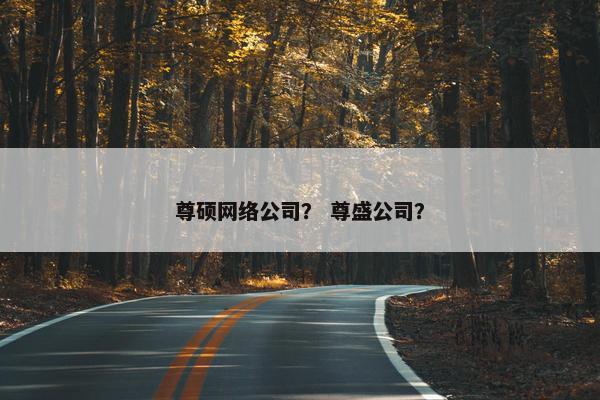 尊硕网络公司？ 尊盛公司？