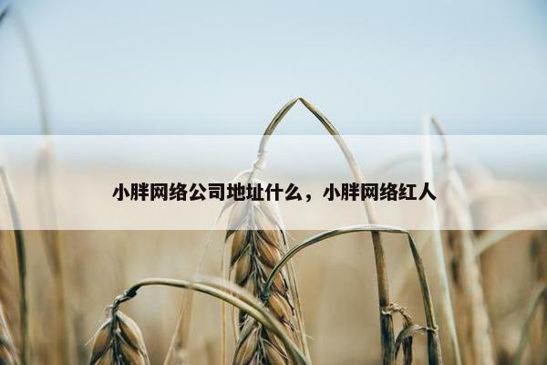 小胖网络公司地址什么，小胖网络红人