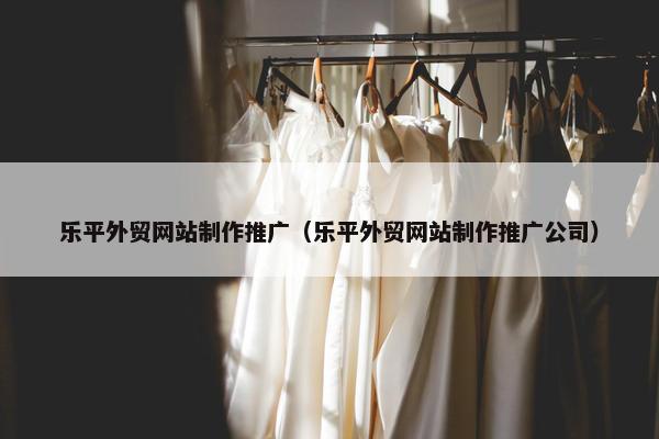 乐平外贸网站制作推广（乐平外贸网站制作推广公司）