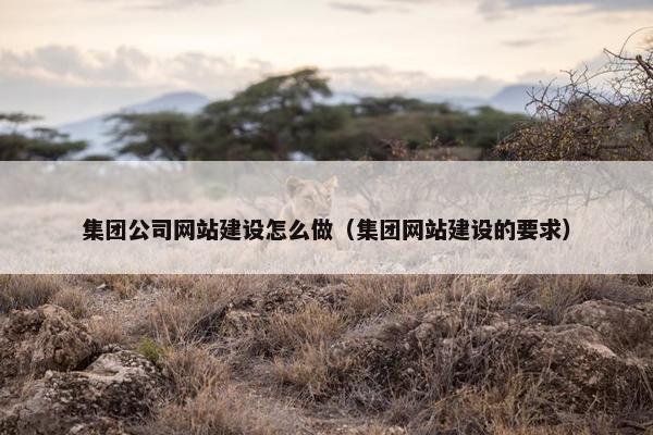 集团公司网站建设怎么做（集团网站建设的要求）