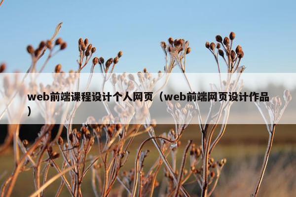 web前端课程设计个人网页（web前端网页设计作品）
