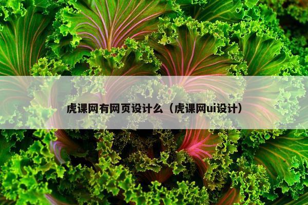 虎课网有网页设计么（虎课网ui设计）
