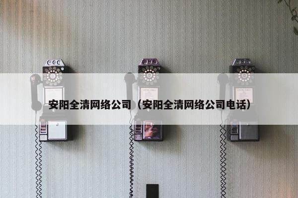 安阳全清网络公司（安阳全清网络公司电话）