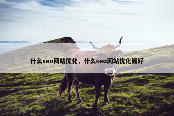 什么seo网站优化，什么seo网站优化最好