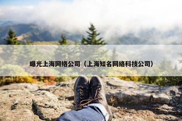 曝光上海网络公司（上海知名网络科技公司）