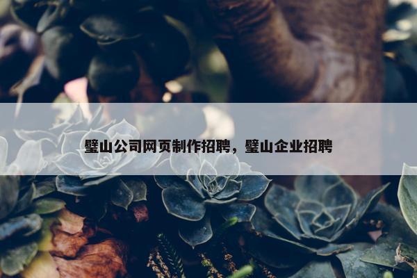 璧山公司网页制作招聘，璧山企业招聘
