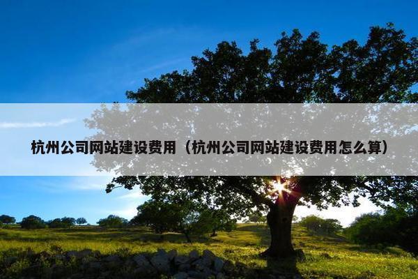 杭州公司网站建设费用（杭州公司网站建设费用怎么算）