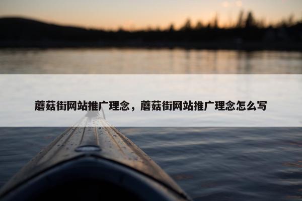 蘑菇街网站推广理念，蘑菇街网站推广理念怎么写