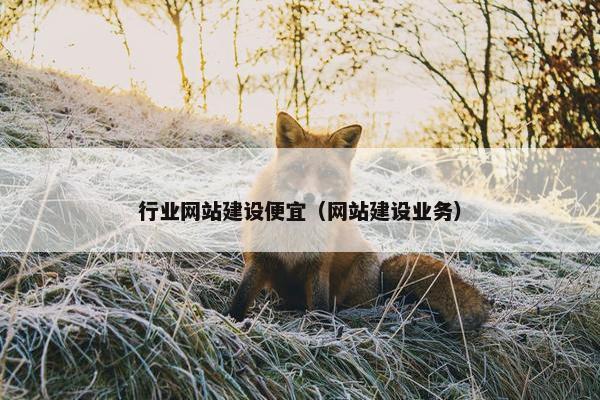 行业网站建设便宜（网站建设业务）