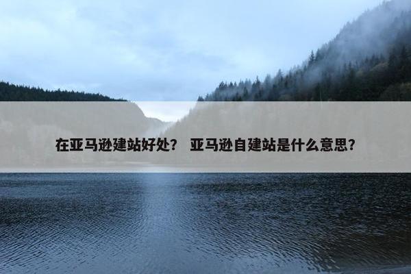 在亚马逊建站好处？ 亚马逊自建站是什么意思？