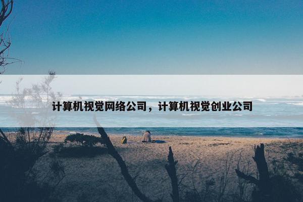 计算机视觉网络公司，计算机视觉创业公司