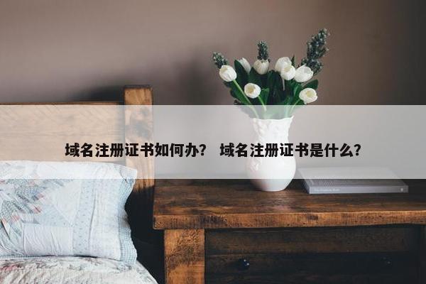 域名注册证书如何办？ 域名注册证书是什么？