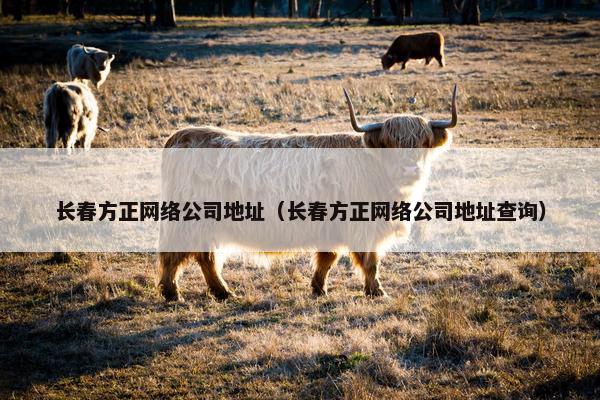 长春方正网络公司地址（长春方正网络公司地址查询）