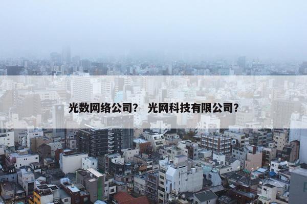 光数网络公司？ 光网科技有限公司？