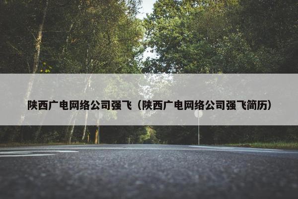 陕西广电网络公司强飞（陕西广电网络公司强飞简历）