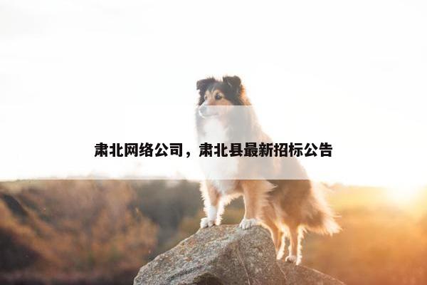 肃北网络公司，肃北县最新招标公告