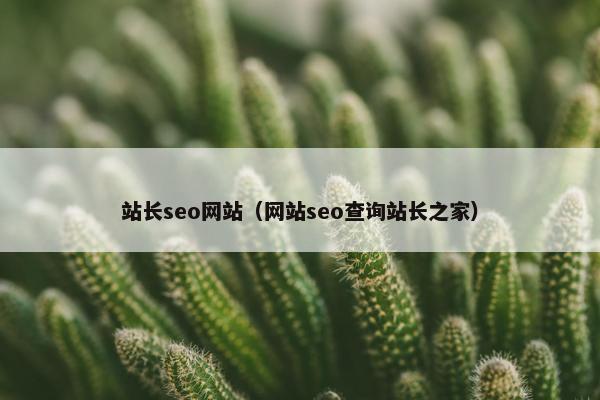 站长seo网站（网站seo查询站长之家）
