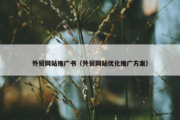 外贸网站推广书（外贸网站优化推广方案）