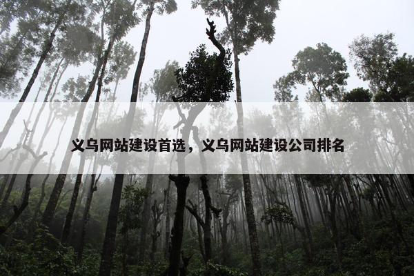 义乌网站建设首选，义乌网站建设公司排名