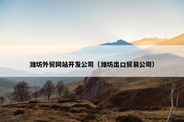 潍坊外贸网站开发公司（潍坊出口贸易公司）