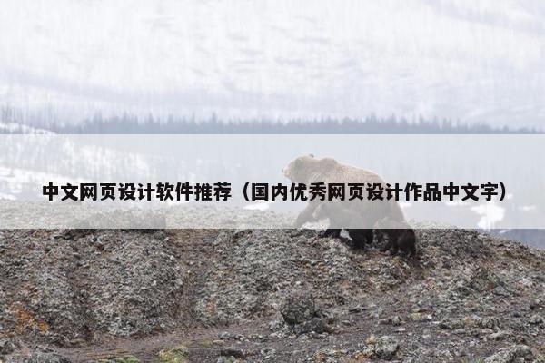 中文网页设计软件推荐（国内优秀网页设计作品中文字）