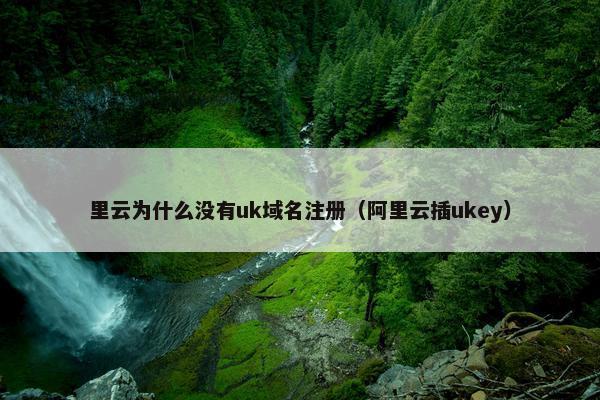 里云为什么没有uk域名注册（阿里云插ukey）
