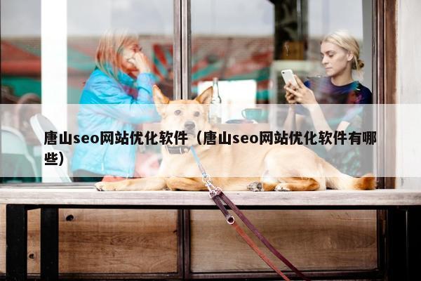 唐山seo网站优化软件（唐山seo网站优化软件有哪些）