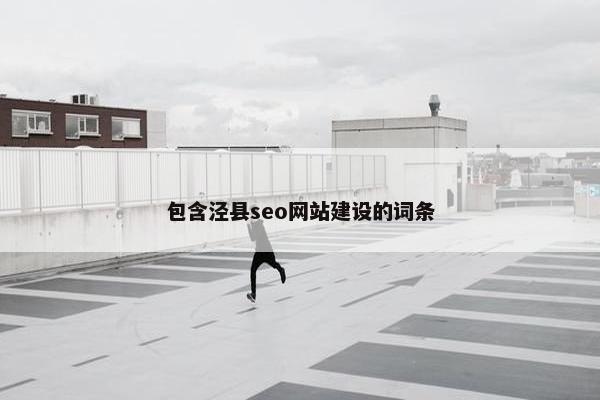 包含泾县seo网站建设的词条