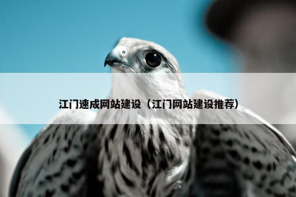 江门速成网站建设（江门网站建设推荐）