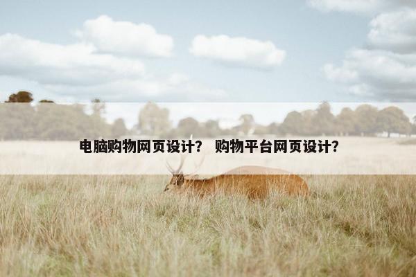 电脑购物网页设计？ 购物平台网页设计？