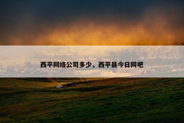 西平网络公司多少，西平县今日网吧
