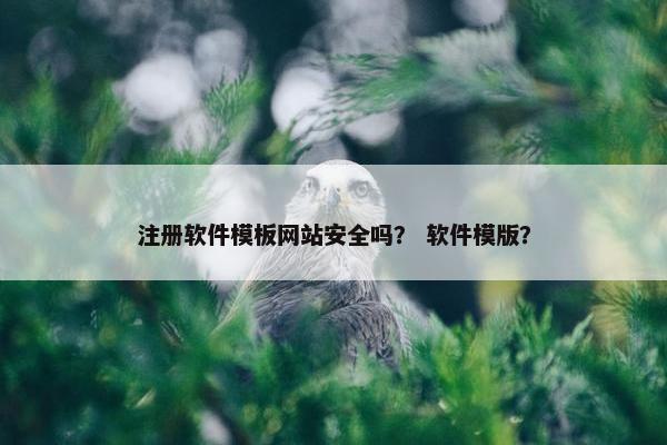 注册软件模板网站安全吗？ 软件模版？