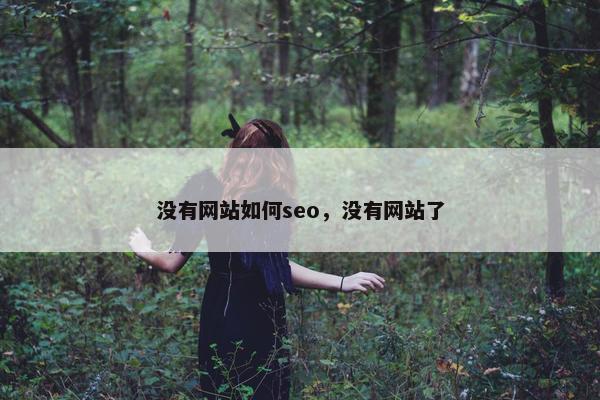 没有网站如何seo，没有网站了