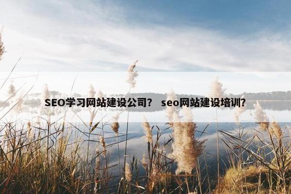 SEO学习网站建设公司？ seo网站建设培训？