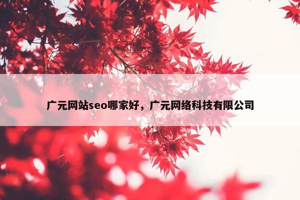 广元网站seo哪家好，广元网络科技有限公司