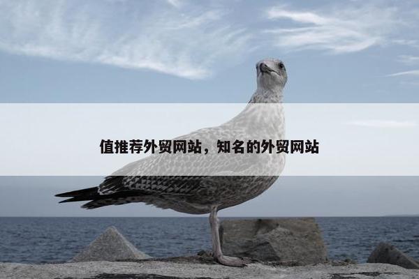 值推荐外贸网站，知名的外贸网站