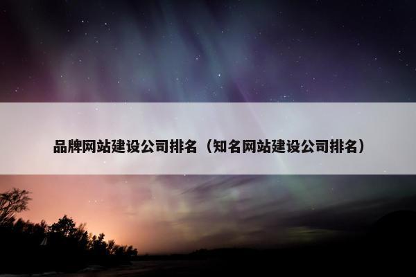 品牌网站建设公司排名（知名网站建设公司排名）