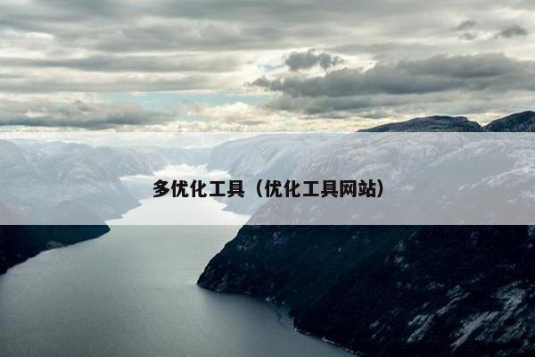 多优化工具（优化工具网站）