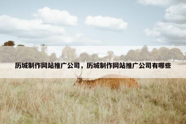 历城制作网站推广公司，历城制作网站推广公司有哪些