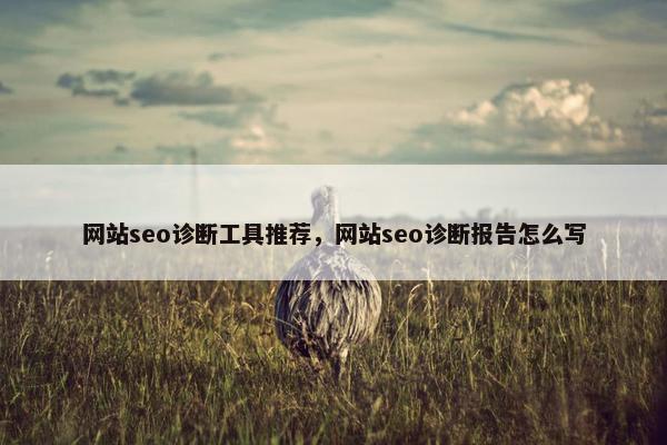 网站seo诊断工具推荐，网站seo诊断报告怎么写