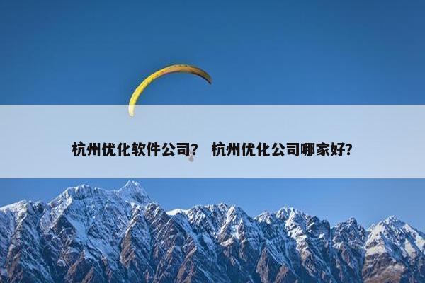 杭州优化软件公司？ 杭州优化公司哪家好？