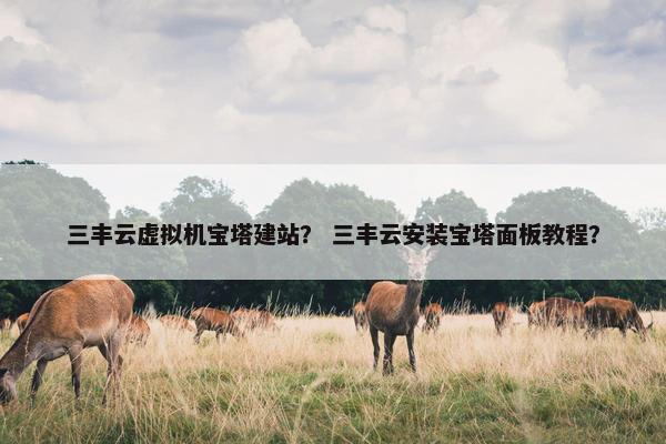 三丰云虚拟机宝塔建站？ 三丰云安装宝塔面板教程？
