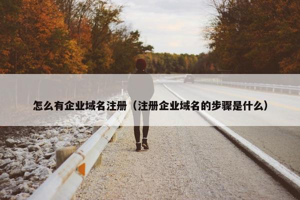 怎么有企业域名注册（注册企业域名的步骤是什么）