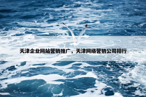 天津企业网站营销推广，天津网络营销公司排行